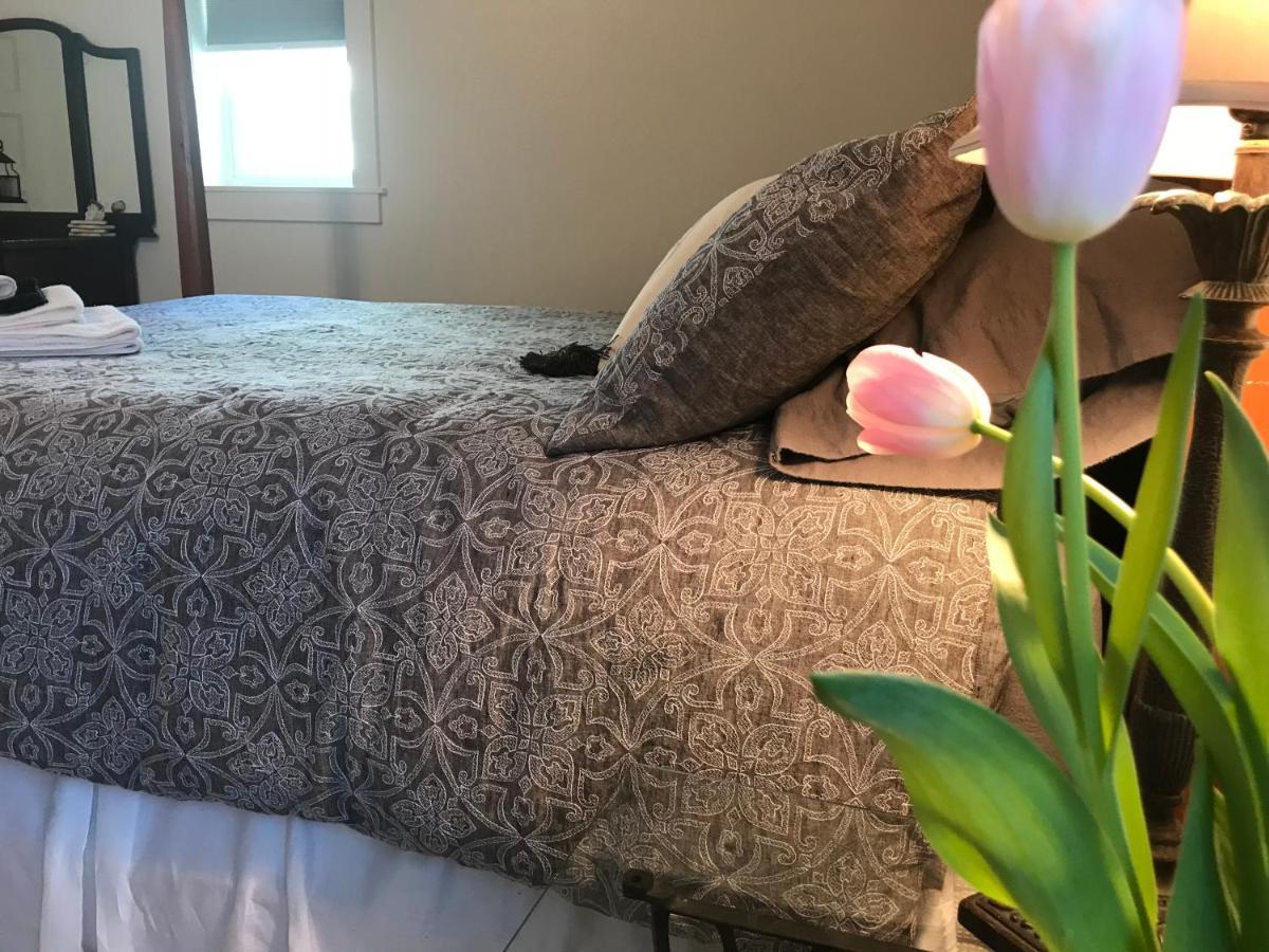 Snowgoose Pond Bed & Breakfast Palmer Buitenkant foto